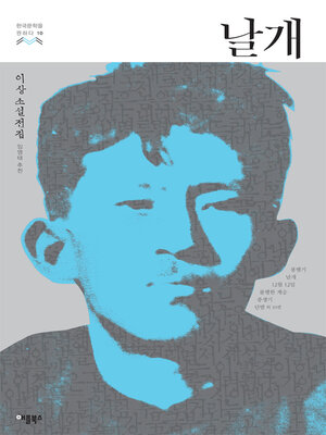 cover image of 날개